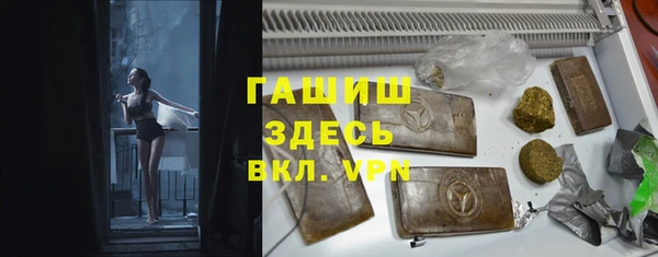 сатива Богданович