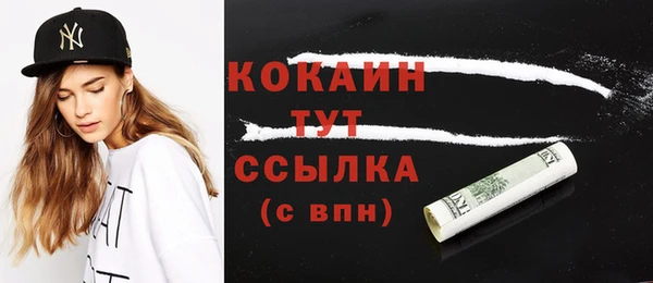 прущие грибы Богородицк