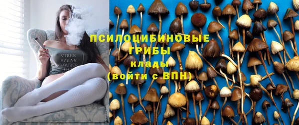 спиды Богородск