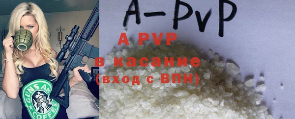 прущие грибы Богородицк