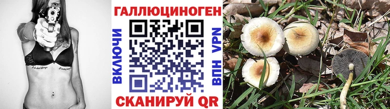 Галлюциногенные грибы Magic Shrooms  Клин 